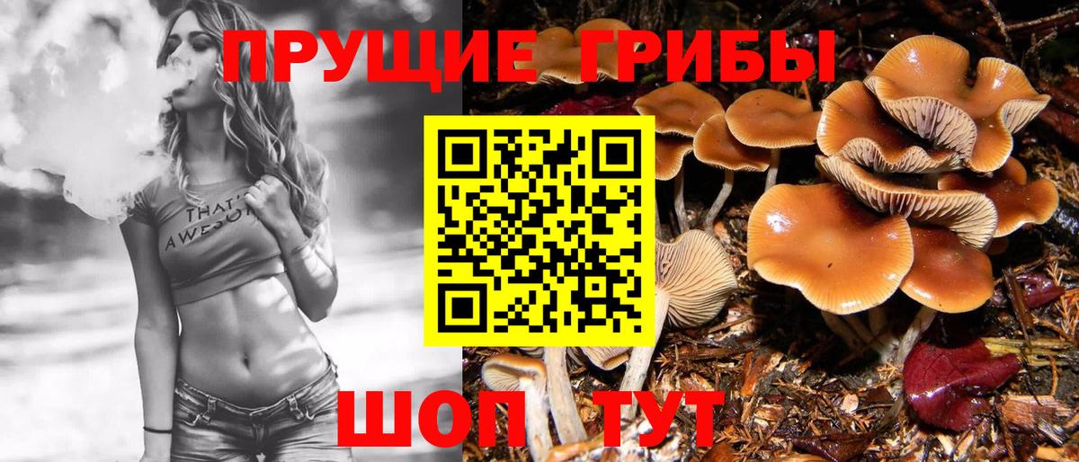 купить  цена  Галлюциногенные грибы прущие грибы  Галлюциногенные грибы GOLDEN TEACHER  Вход с VPN  Скопин 