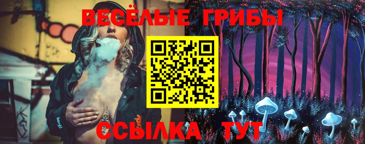 Псилоцибиновые грибы мицелий Скопин